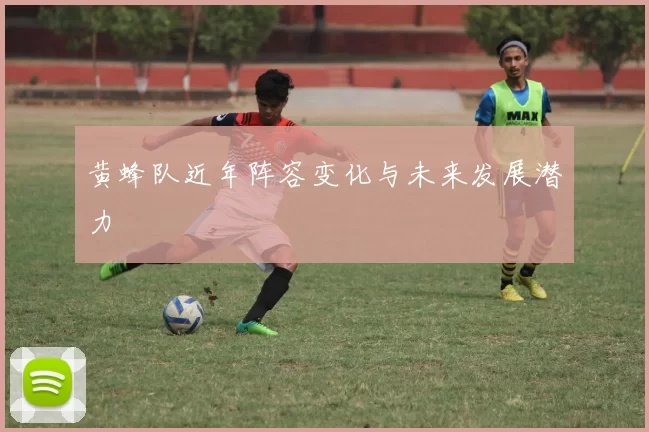 黄蜂队近年阵容变化与未来发展潜力