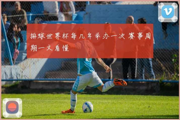 排球世界杯每几年举办一次 赛事周期一文看懂