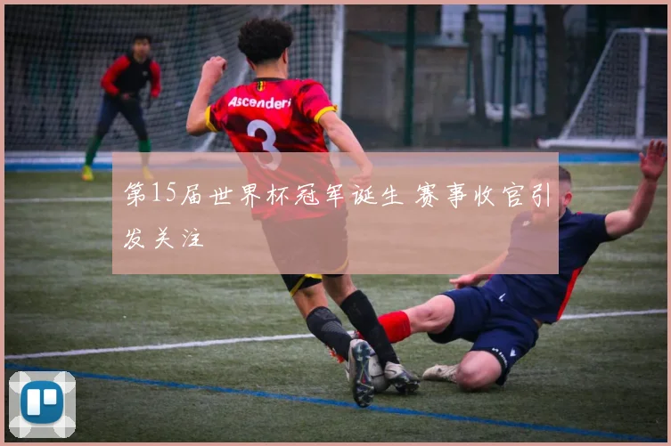 第15届世界杯冠军诞生 赛事收官引发关注