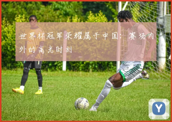 世界杯冠军荣耀属于中国：赛场内外的高光时刻