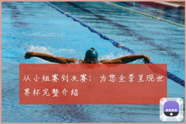 从小组赛到决赛：为您全景呈现世界杯完整介绍