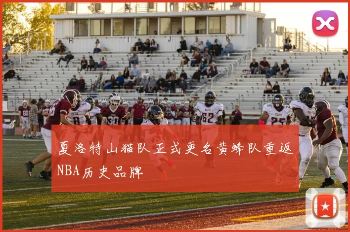 夏洛特山猫队正式更名黄蜂队重返NBA历史品牌