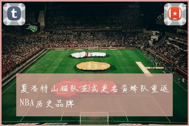 夏洛特山猫队正式更名黄蜂队重返NBA历史品牌