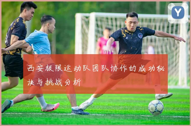 西安极限运动队团队协作的成功秘诀与挑战分析
