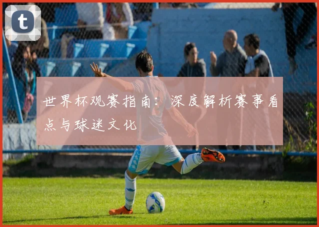 世界杯观赛指南:深度解析赛事看点与球迷文化