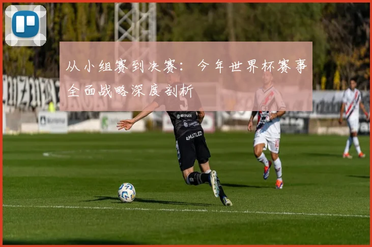 从小组赛到决赛:今年世界杯赛事全面战略深度剖析
