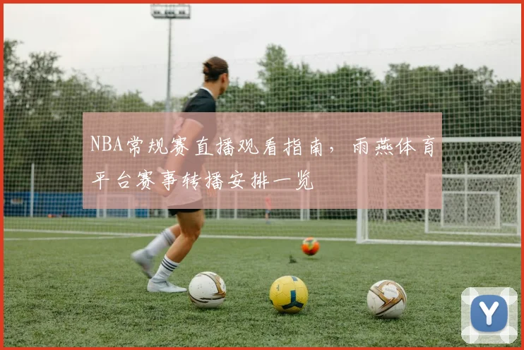 NBA常规赛直播观看指南,雨燕体育平台赛事转播安排一览