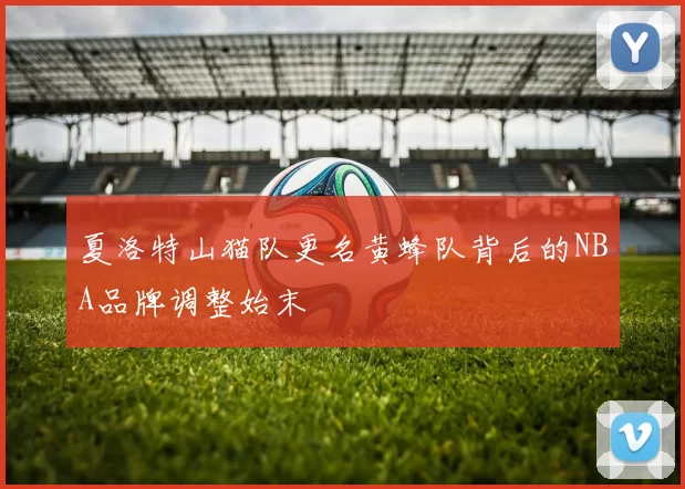 夏洛特山猫队更名黄蜂队背后的NBA品牌调整始末