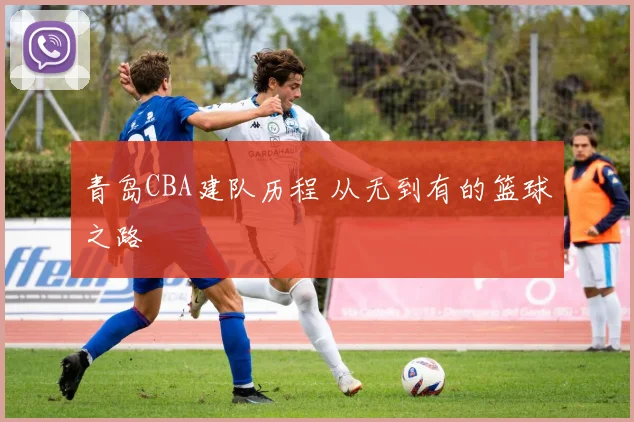 青岛CBA建队历程 从无到有的篮球之路