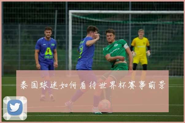 泰国球迷如何看待世界杯赛事前景