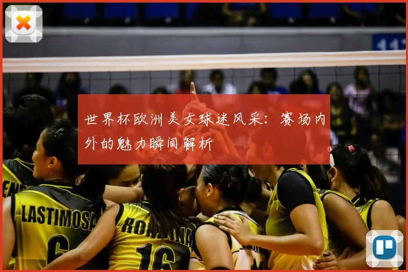 世界杯欧洲美女球迷风采：赛场内外的魅力瞬间解析