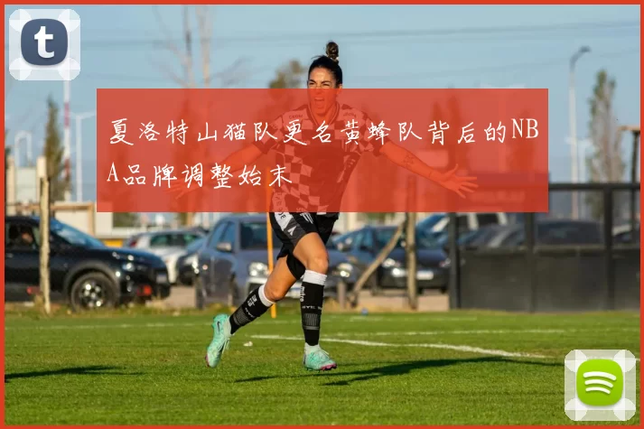 夏洛特山猫队更名黄蜂队背后的NBA品牌调整始末