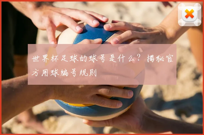 世界杯足球的球号是什么？揭秘官方用球编号规则