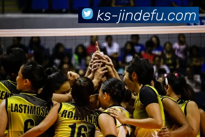 华体会体育发展历程